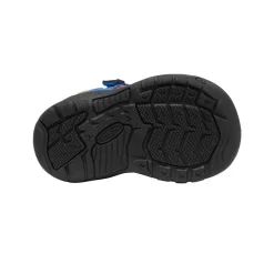 Keen Toddlers' Newport H2SHO | Multi/Bright Cobalt -Fashion Shoes 0f9ee6253f57862281132f6947140b18015f43b1