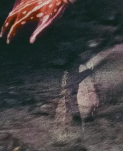 Keen Women's Jasper Rocks Sneaker X Hiking Patrol | Cuban Beige -Fashion Shoes KEEN W 1028832 HikingPatrolxJasperRocks Lifestyle PDP Single Left